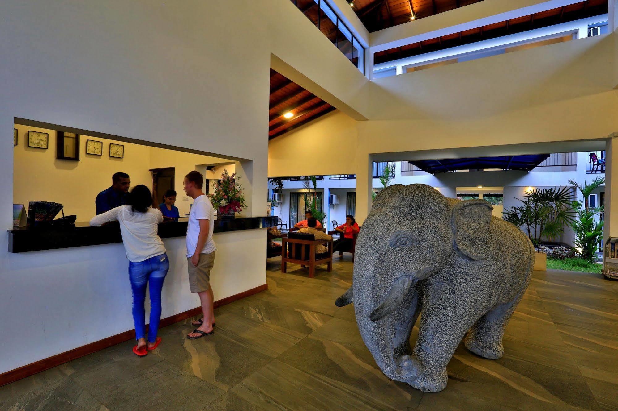 The Blue Wave Hotel Arugam Bay Exteriör bild